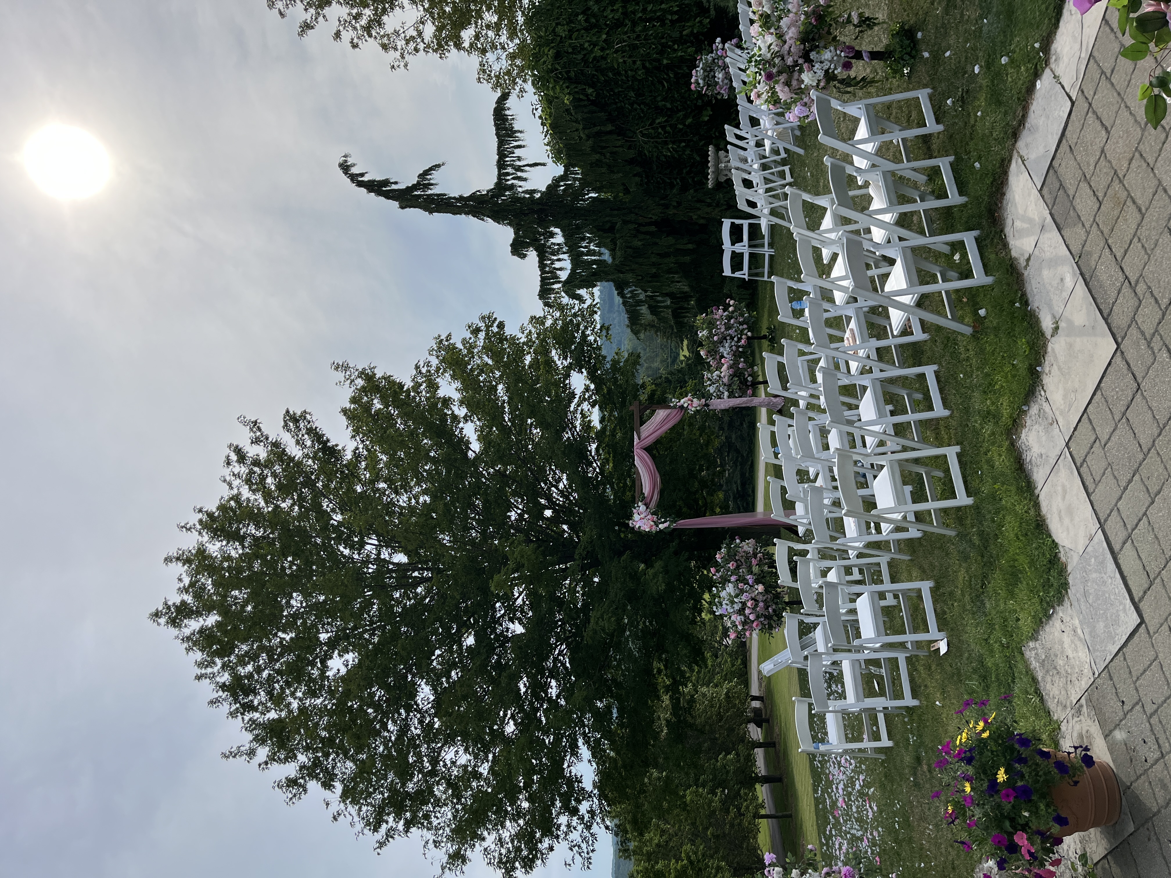 White chairs set for a ceremony under the large tree on the upper lawn
